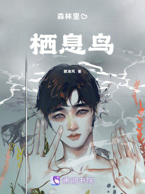 森林里的棲息鳥