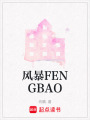 風(fēng)暴FENGBAO