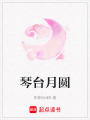 琴臺月圓