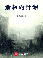最初的計劃