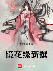 鏡花緣新撰