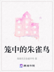 籠中的朱雀鳥(niǎo)