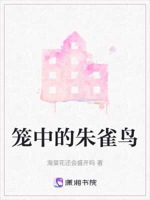 籠中的朱雀鳥