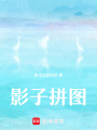 影子拼圖