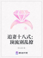 追妻十八式：頂流別亂撩