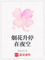 煙花升停在夜空