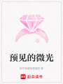 預(yù)見的微光