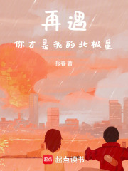 再遇：你才是我的北極星