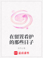 在留置看護的那些日子