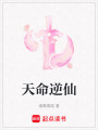天命逆仙