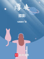 浮光：掠影