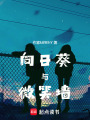 向日葵與微笑墻