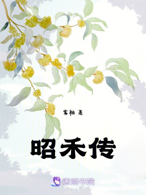昭禾傳