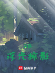 只是浮光掠影