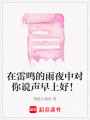 在雷鳴的雨夜中對你說聲早上好！
