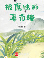 被腐蝕的薄荷糖
