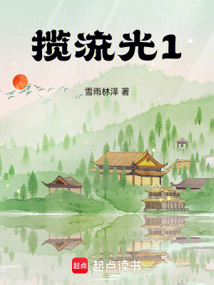 攬流光1