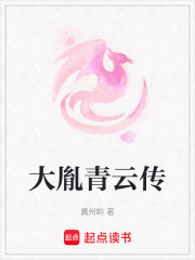 大胤青云傳