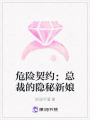 危險(xiǎn)契約：總裁的隱秘新娘