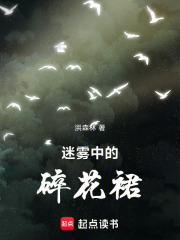 迷霧中的碎花裙