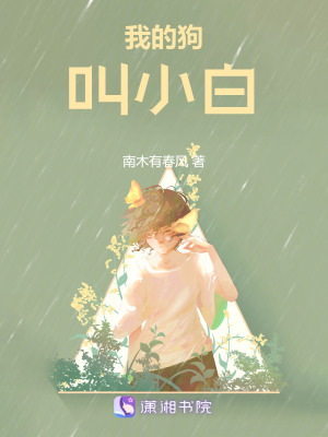 我的狗叫小白
