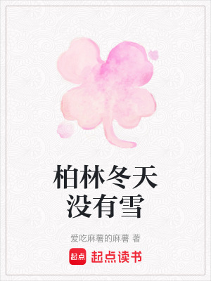 柏林冬天沒有雪