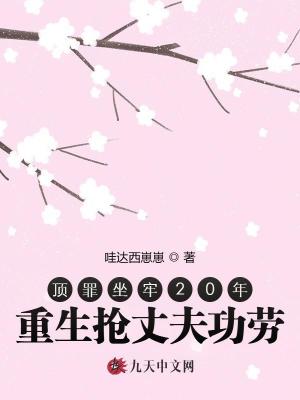 頂罪坐牢20年，重生搶丈夫功勞