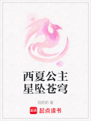 西夏公主星墜蒼穹
