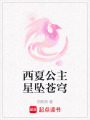 西夏公主星墜蒼穹