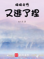 貓貓我啊又逃了捏