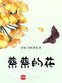 蔡蔡的花
