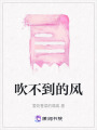 吹不到的風