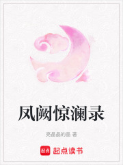 鳳闕驚瀾錄