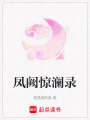 鳳闕驚瀾錄