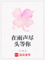 在雨聲盡頭等你