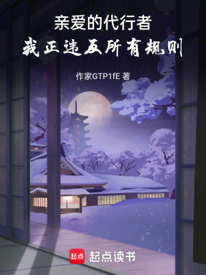 親愛的代行者，我正違反所有規則