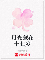 月光藏在十七歲