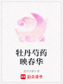 牡丹芍藥映春華