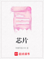 芯片