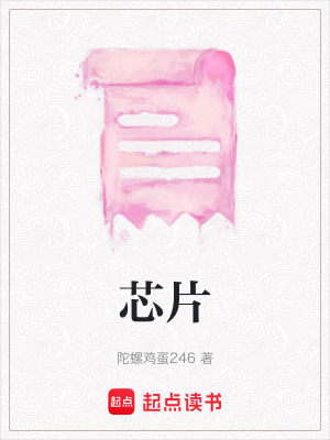 芯片