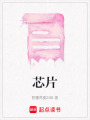 芯片