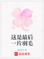 這是最后一片羽毛