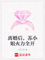 離婚后，蘇小姐火力全開(kāi)
