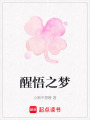 醒悟之夢(mèng)