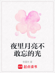 夜里月亮不敢忘的光