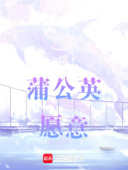 蒲公英愿意