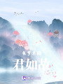 長夢未醒君如故
