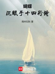 蝴蝶沉眠于十四行詩