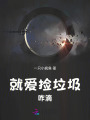 就愛撿垃圾咋滴