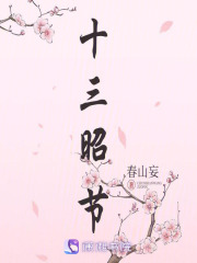十三昭節(jié)